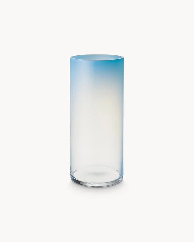 spsnhfrdm31